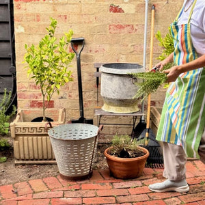 Striped Cotton Aprons