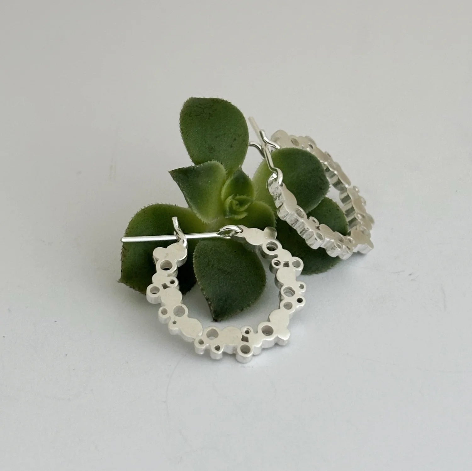 Silver hoop earrings with intricate designs on a light gray background with a green succulent plant.