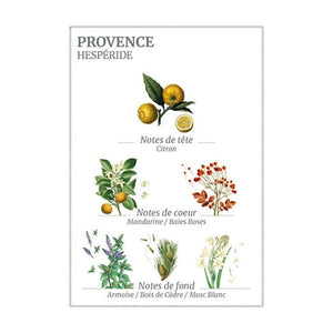 Jacob Little-Dulwich Hill-Provence Scented Candle-Panier De Sens-Fragrance Notes