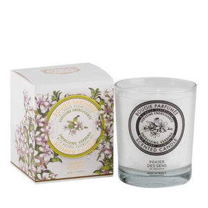 Jacob Little-Dulwich Hill-Verbena Scented Candle-Panier De Sens